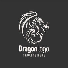 Stunning Dragon Branding Logo Design