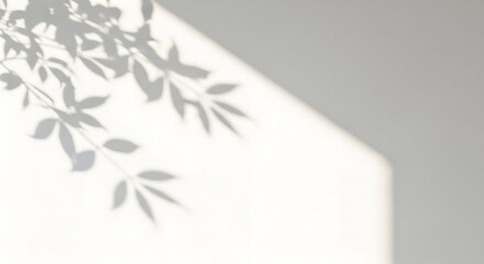 Soft natural light casting leaf shadows on a clean white wall