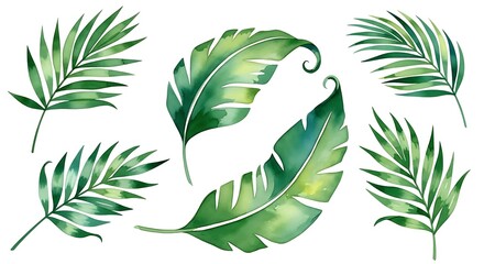Tropical Palm Leaves Design.