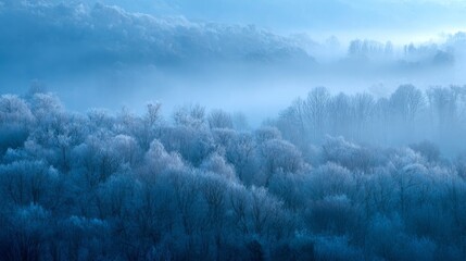 A serene winter forest scene with frost-covered trees in silver tones,
