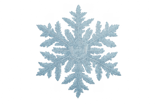 Delicate ice crystal snowflake on transparent background