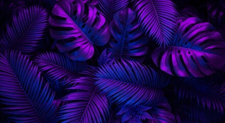 Dark, moody closeup of lush tropical leaves illuminated by vibrant purple and blue neon light