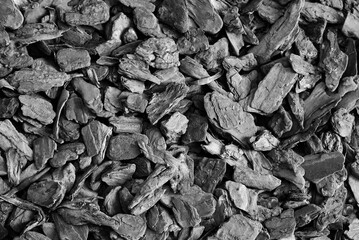 Bark tree background.  A pine bark mulch background. Black and white image.