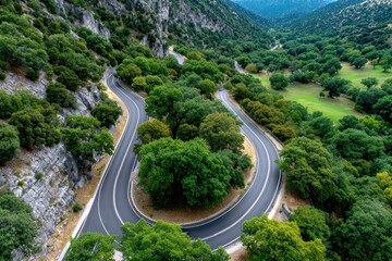 Fototapeta premium Winding mountain road through lush green forest