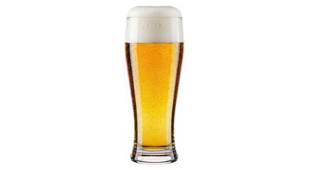 Tall Glass of Golden Beer with Frothy Head Keywords: beer, drink, alcohol, beverage, golden
