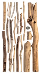Assorted pieces of driftwood