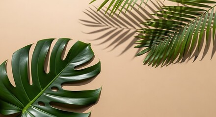 Monstera and palm leaves casting shadows on a neutral background