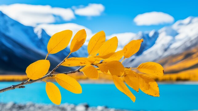 Close up of yellow leaves on branch by blue lake and mountains in a blurred minimalist background