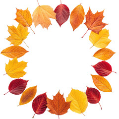 Round autumnal leaves frame png autumn leaves png fall leaves png seasonal frame png leaf border png decorative frame png transparent background image