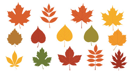 Obraz premium Collection of stylized autumn leaves in various colors and shapes.