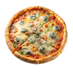 Rotten moldy pizza png moldy pizza png spoiled pizza png bad pizza png rotten food png unhealthy pizza png transparent background image