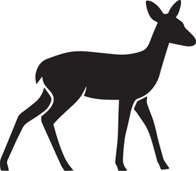 Key deer 