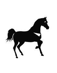 horse silhouette vector white and black
