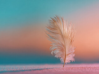 Delicate single feather standing upright on soft surface with dreamy gradient background in warm pastel colors and shallow focus composition