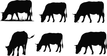 Cow silhouettes farm animals livestock vector illustration set, black cattle shapes standing grazing agriculture design for dairy farming content