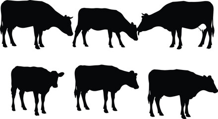 Cow silhouettes farm animals livestock vector illustration set, black cattle shapes standing grazing agriculture design for dairy farming content
