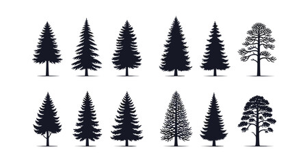 Obraz premium A collection of various evergreen coniferous tree silhouettes and detailed illustrations.
