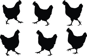 Set of six walking chicken silhouettes in side profile vector illustration, domestic farm hens collection for agriculture, poultry, food design