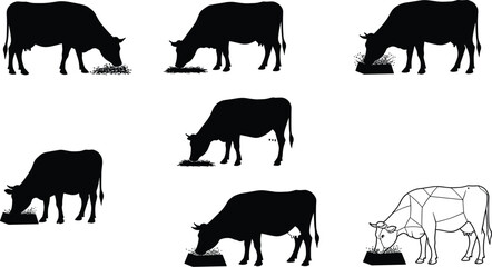 Vector silhouettes of cows eating feed on farm, livestock illustration with rural agriculture elements, animal design for farming and countryside