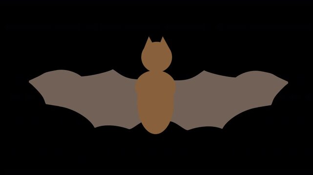 Flying brown Halloween simple cartoon bat silhouette flapping its wings on a transparent alpha channel see through background 4K