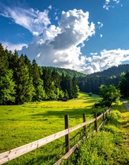 Sunny meadow, forest, and hills