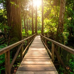 Wooden bridge through forest (1)