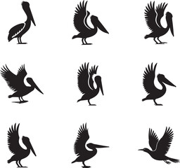 Collection of pelican silhouettes in various poses isolated on white background