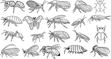 Vector art of collection of various insects