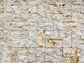 Stone wall made of shelly limestone, it is a highly fossiliferous limestone, composed of a number of fossilized organisms. Background texture, front view