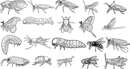Vector art of assortment of different insects