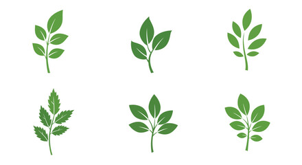 A collection of vibrant green leaf illustrations on a white background © Siam Studio