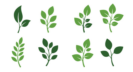 Collection of vibrant green leaf illustrations presented in various shapes and sizes