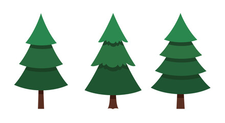 Simple illustration of three green evergreen trees in a flat design