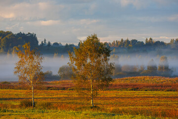 Experience a Serene Misty Morning in the Vibrant Autumn Landscape, filled with beauty