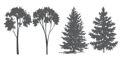 Obraz premium CAD Drawings. Minimal style cad tree line side view, set of graphics trees elements outline symbol for architecture and landscape design drawing. Vector illustration