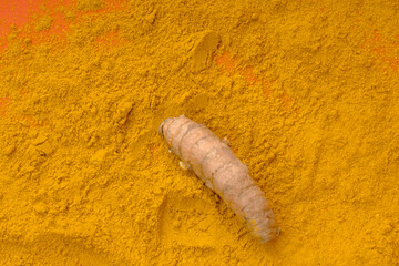 Aromatic turmeric powder and fresh roots, close-up