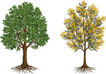 Beautiful green leafy tree and yellow flowering tree illustration, detailed seasonal nature artwork, forest design with roots, isolated on white background