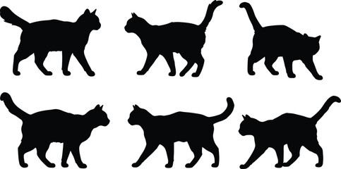 Cat silhouettes walking and standing, domestic pet illustration, feline animal artwork, nature posture study, black cat design, wildlife behavior reference