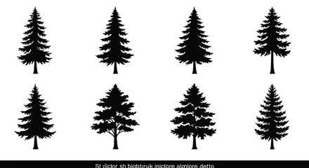 A collection of silhouetted evergreen trees in varying shapes and sizes