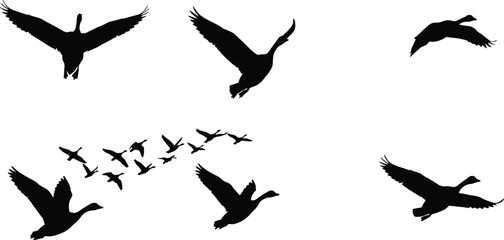 Duck silhouettes flying, migratory bird flock, V formation flight, wildlife in motion, nature background, waterfowl migration, freedom concept, bird illustration design