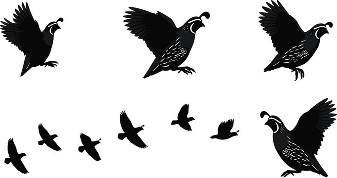 Murmuration Graphics Murmuration Images – Browse 908,000 Stock Photos, Vectors, and Video ...