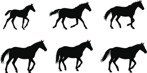 Horse silhouette collection, black horse outlines, walking and trotting gait sequence, equine motion posture, vector design, isolated illustration, artwork set