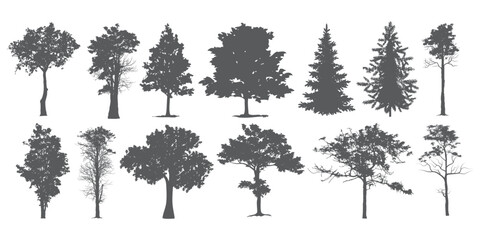 
CAD Drawings. Minimal style cad tree line side view, set of graphics trees elements outline symbol for architecture and landscape design drawing. Vector illustration