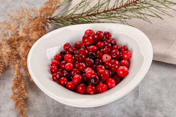 Ripe sweet sour cranberry heap