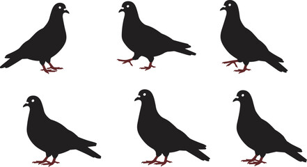 Pigeon silhouettes standing, black bird icons, dove shapes with red feet, wildlife design elements, nature pattern, urban bird illustration, vector style