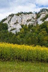Oberes Donautal bei Langenbrunn, Schwäbische Alb