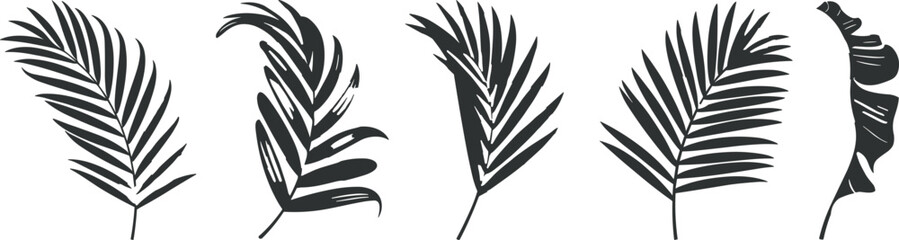 Tropical leaf silhouettes set, botanical foliage graphics, palm leaf vector icons, exotic plant shapes, nature design elements, black leaf collection © rakib's world