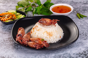Tasty baby swuid with rice