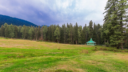 Often called the “Mini Switzerland of Kashmir”, Baisaran is a vast, lush green meadow surrounded by pine-clad mountains, just 5 km from Pahalgam.