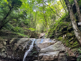 Waterfall and stream inside of the forest. Arezzo region in Tuscany, Italy. Summer in Italy.
